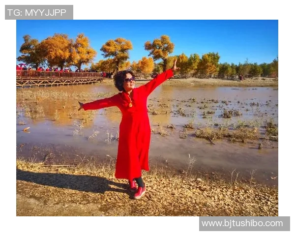 足球小将若林的成长之路与梦想追逐的热血青春故事